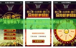 淘宝怎么下注世界杯-淘宝参与世界杯竞猜，轻松下注的趣味指南