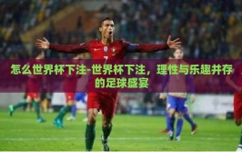 怎么世界杯下注-世界杯下注，理性与乐趣并存的足球盛宴