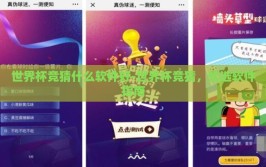 世界杯竞猜什么软件好-世界杯竞猜，优选软件指南