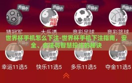 世界杯手机怎么下注-世界杯手机下注指南，安全、合法与智慧投注的秘诀