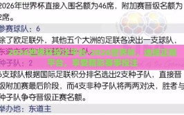 2026世界杯投注平台-2026世界杯，选择正规平台，享受精彩赛事投注