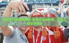 世界杯足球竞猜官网-世界杯足球竞猜，激情与智慧的碰撞