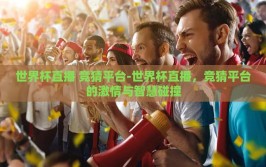 世界杯直播 竞猜平台-世界杯直播，竞猜平台的激情与智慧碰撞