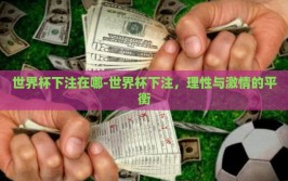 世界杯下注在哪-世界杯下注，理性与激情的平衡