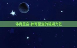 体育星空-体育星空的璀璨光芒