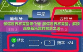 微信世界杯竞猜哪个好-微信世界杯竞猜，解锁观赛新乐趣的智慧之选