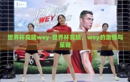 世界杯竞猜wey-世界杯竞猜，wey的激情与策略