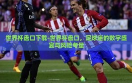 世界杯盘口下载-世界杯盘口，足球迷的数字盛宴与风险考量