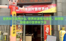 世界杯下注用什么-世界杯激情与理性，如何智慧地进行世界杯下注