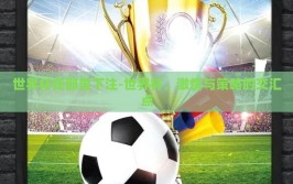 世界杯在那里下注-世界杯，激情与策略的交汇点