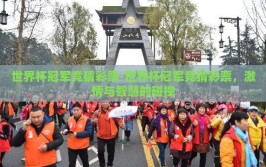世界杯冠军竞猜彩票-世界杯冠军竞猜彩票，激情与智慧的碰撞