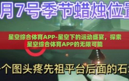 星空综合体育APP-星空下的运动盛宴，探索星空综合体育APP的无限可能