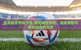亚足联世界杯下注-亚足联世界杯，足球激情与理性投注的交织
