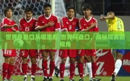 世界杯盘口从哪里看-世界杯盘口，揭秘观赛新视角