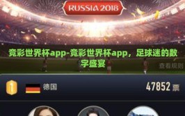 竞彩世界杯app-竞彩世界杯app，足球迷的数字盛宴