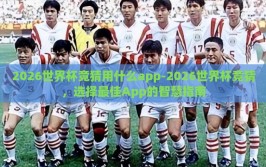 2026世界杯竞猜用什么app-2026世界杯竞猜，选择最佳App的智慧指南