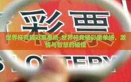 世界杯竞猜彩票单场-世界杯竞猜彩票单场，激情与智慧的碰撞