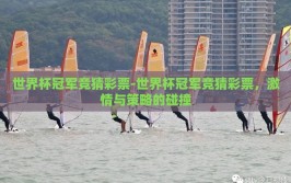 世界杯冠军竞猜彩票-世界杯冠军竞猜彩票，激情与策略的碰撞