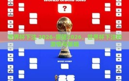 世界杯下注 2026-展望2026，世界杯下注的激情与策略