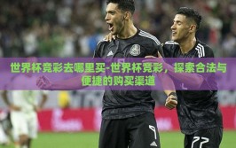 世界杯竞彩去哪里买-世界杯竞彩，探索合法与便捷的购买渠道