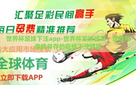 世界杯足球下注app-世界杯足球盛宴，理性与激情并存的在线下注体验