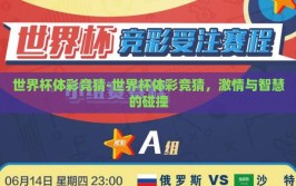 世界杯体彩竞猜-世界杯体彩竞猜，激情与智慧的碰撞