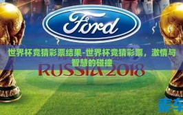 世界杯竞猜彩票结果-世界杯竞猜彩票，激情与智慧的碰撞