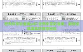 世界杯竞彩宝典pdf-世界杯竞彩宝典，解锁足球盛宴的智慧钥匙