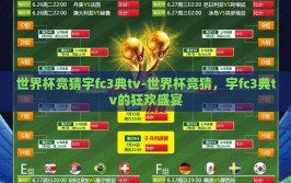 世界杯竞猜宇fc3典tv-世界杯竞猜，宇fc3典tv的狂欢盛宴