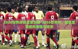 2026世界杯冠亚军竞猜-2026世界杯，冠亚军竞猜的激情与预测