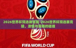 2026世界杯预选赛竞猜-2026世界杯预选赛竞猜，激情与策略的碰撞