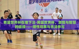 男篮世界杯在哪下注-男篮世界杯，激情与智慧的碰撞——理性观赛与合法参与