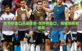 世界杯盘口从哪里看-世界杯盘口，揭秘观赛新视角