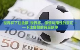 世界杯下注金额-世界杯，激情与理性的交汇——下注金额的背后故事