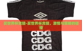 买世界杯竞猜-买世界杯竞猜，激情与策略的碰撞