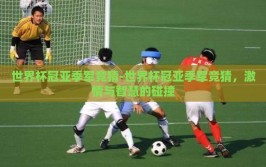 世界杯冠亚季军竞猜-世界杯冠亚季军竞猜，激情与智慧的碰撞