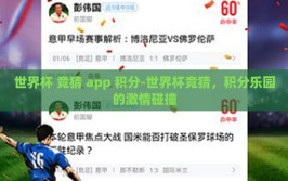 世界杯 竞猜 app 积分-世界杯竞猜，积分乐园的激情碰撞