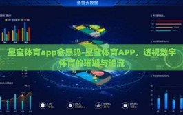 星空体育app会黑吗-星空体育APP，透视数字体育的璀璨与暗流
