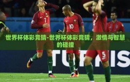 世界杯体彩竞猜-世界杯体彩竞猜，激情与智慧的碰撞