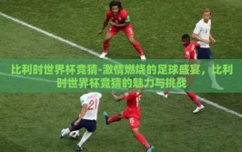 比利时世界杯竞猜-激情燃烧的足球盛宴，比利时世界杯竞猜的魅力与挑战