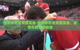 世界杯冠军竞猜奖金-世界杯冠军竞猜奖金，激情与智慧的碰撞