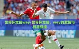 世界杯竞猜wey-世界杯竞猜，wey的激情与智慧碰撞