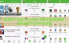 世界杯下注哪个app好用-世界杯观赛新体验，探索高效下注APP的奥秘