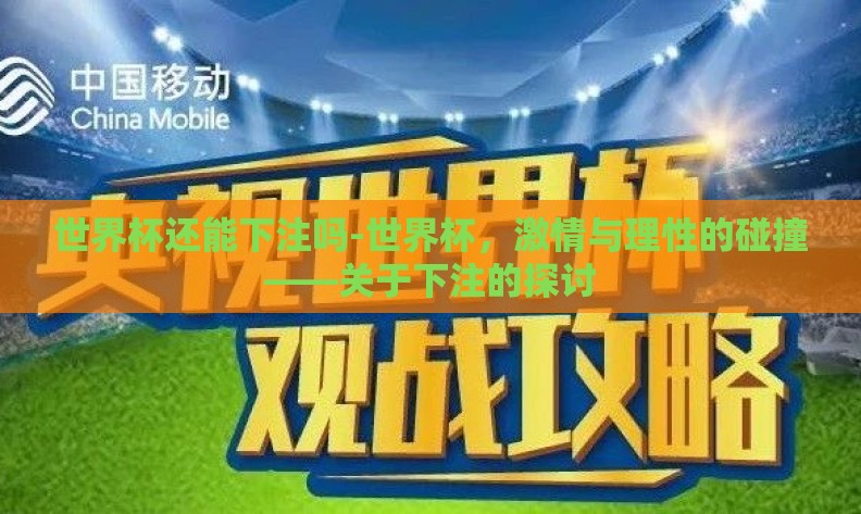 世界杯还能下注吗-世界杯,激情与理性的碰撞——关于下注的探讨 世界杯还能下注吗-世界杯,激情与理性的碰撞——关于下注的探讨