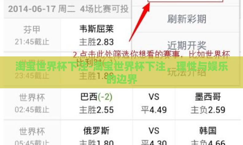 淘宝世界杯下注-淘宝世界杯下注，理性与娱乐的边界