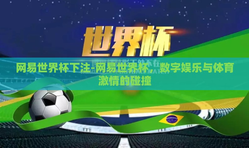 网易世界杯下注-网易世界杯，数字娱乐与体育激情的碰撞