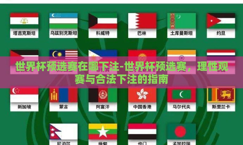 世界杯预选赛在哪下注-世界杯预选赛，理性观赛与合法下注的指南
