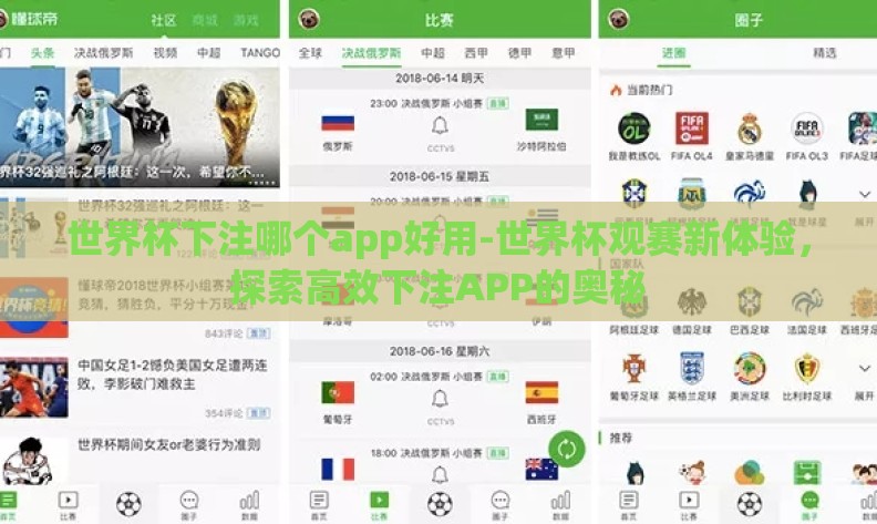 世界杯下注哪个app好用-世界杯观赛新体验，探索高效下注APP的奥秘