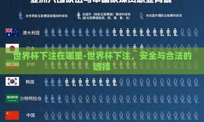 世界杯下注在哪里-世界杯下注,安全与合法的选择 世界杯下注在哪里-世界杯下注,安全与合法的选择