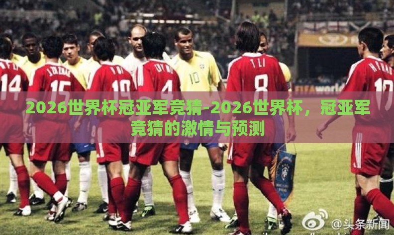 2026世界杯冠亚军竞猜-2026世界杯，冠亚军竞猜的激情与预测